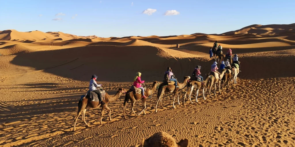 Merzouga Desert Tour – Camel Trek, Desert Camp & Sahara Sunrise camel caravan crossing the golden dunes of Merzouga Sahara desert Morocco